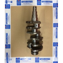 Albero Motore Matiz 800 se 5P/B ber 37 kw