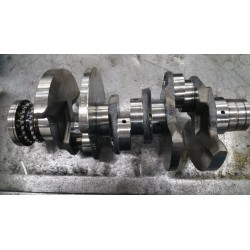 Albero Motore Audi A6 Motore CGQ