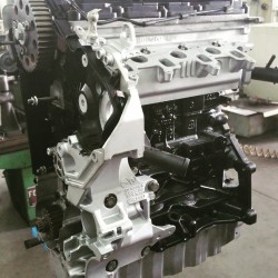 Motore Ford 2.2 D 16V P8FA